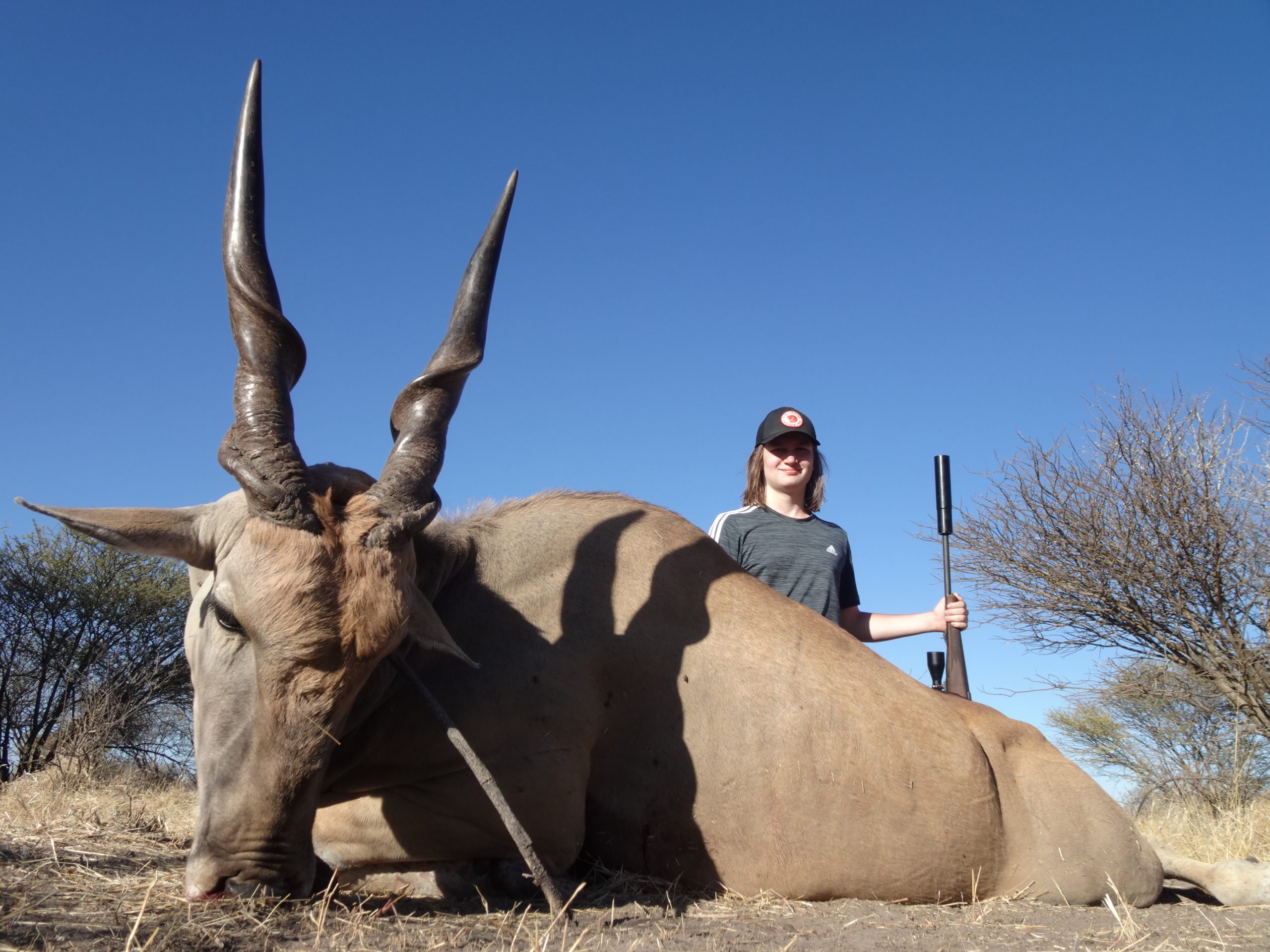 Kalahari Safaris Eland Bull