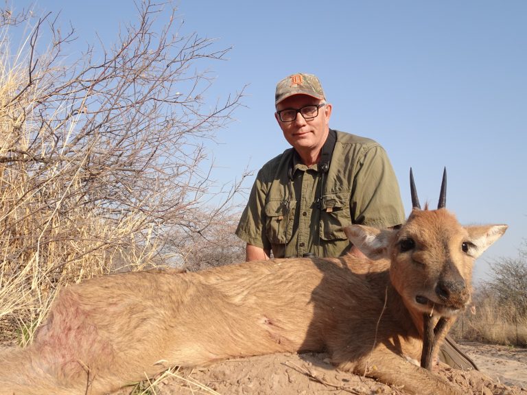 Kalahari Steenbok