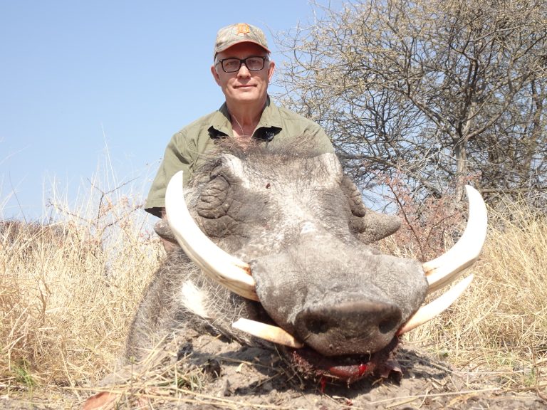 Kalahari Safaris Warthog Hunting