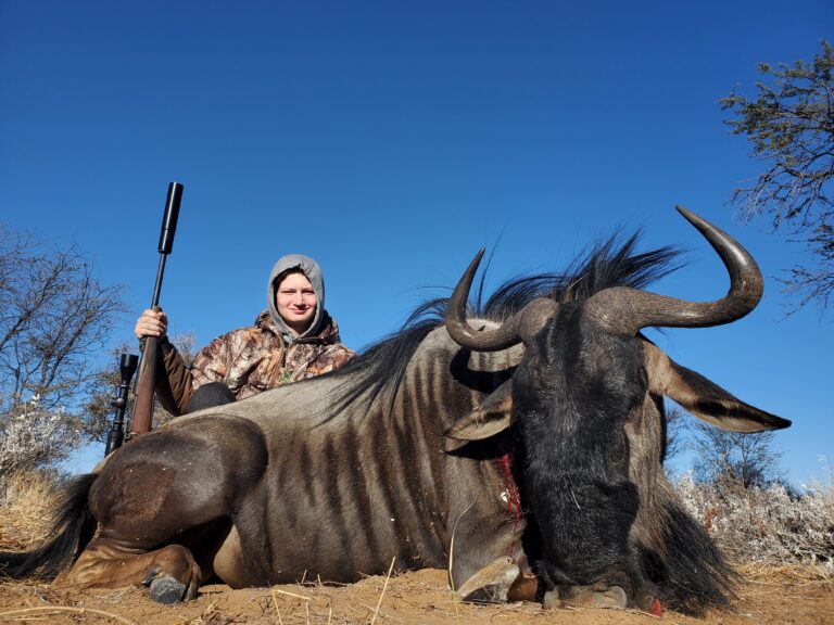 Blue Wildebeest Hunting Kalahari Safaris Botswana