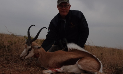 Kalahari Springbuck