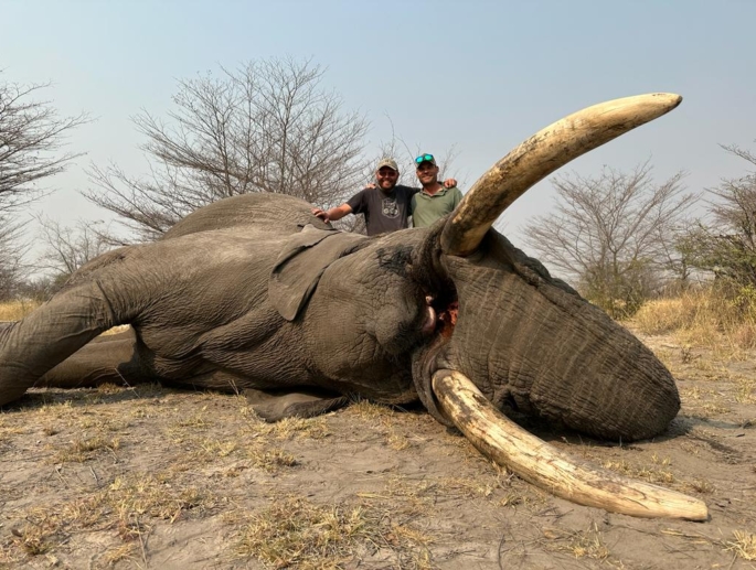 Botswana Bull Elephant Hunting