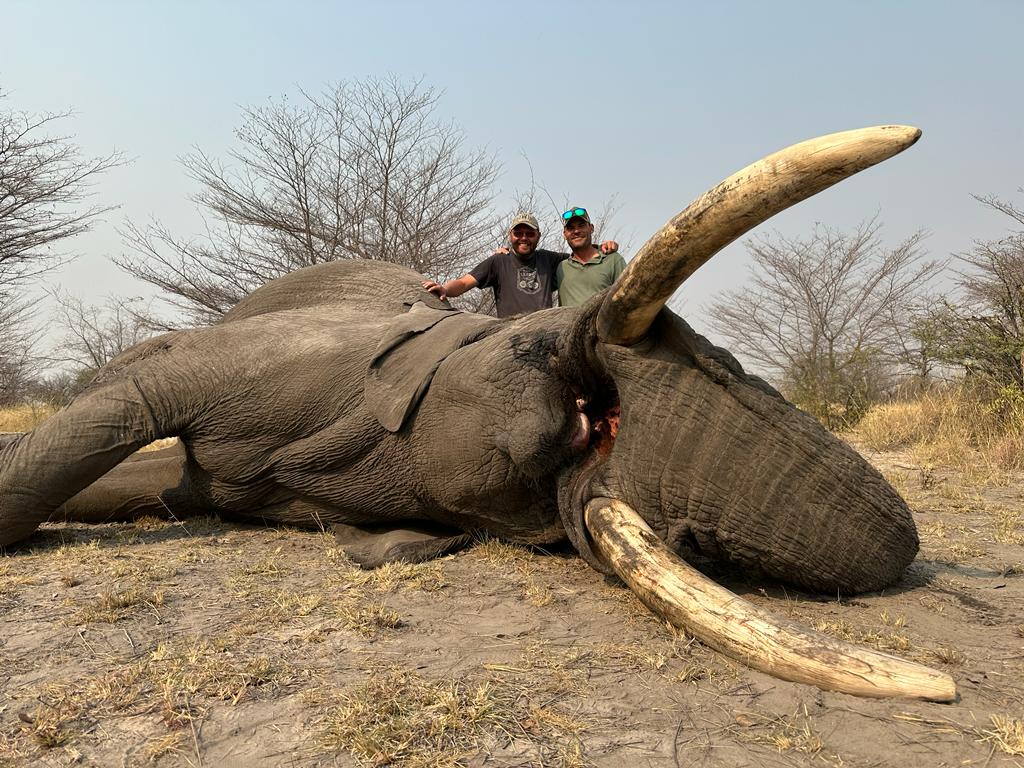 Botswana Bull Elephant Hunting
