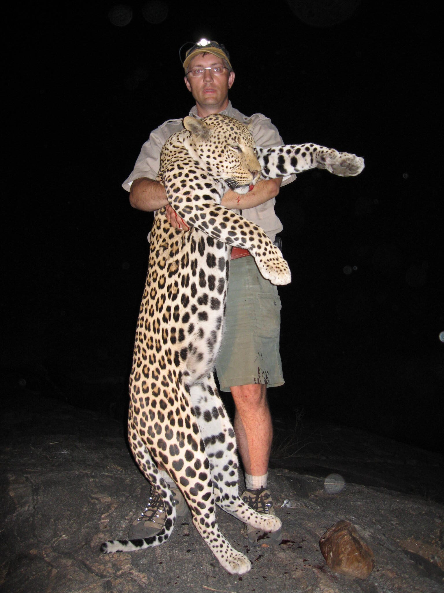 Leopard Kalahari Safaris