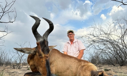 Red Hartebeest