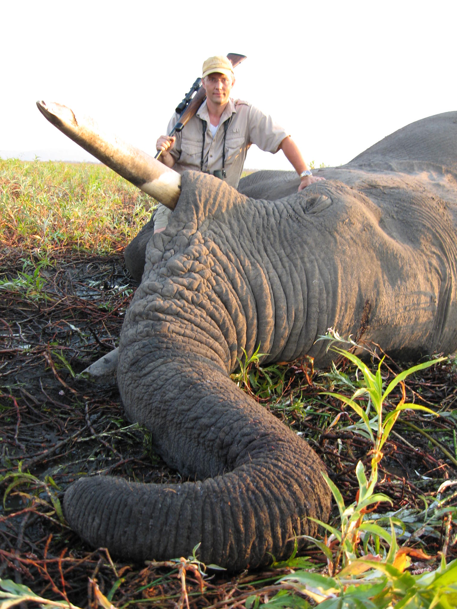 Elephant Hunting Safari