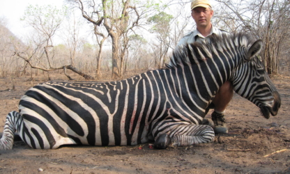 Zebra Hunting