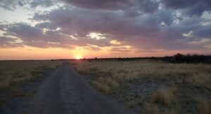 Sunset in the Kalahari